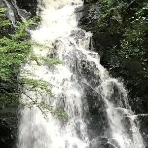 Meet your Posher, Forrest